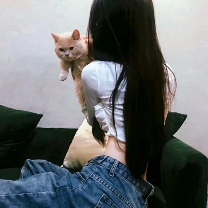 校花的超级保镖之无极诀