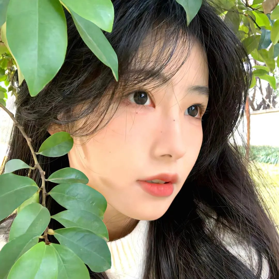 三世情缘,轮回之爱